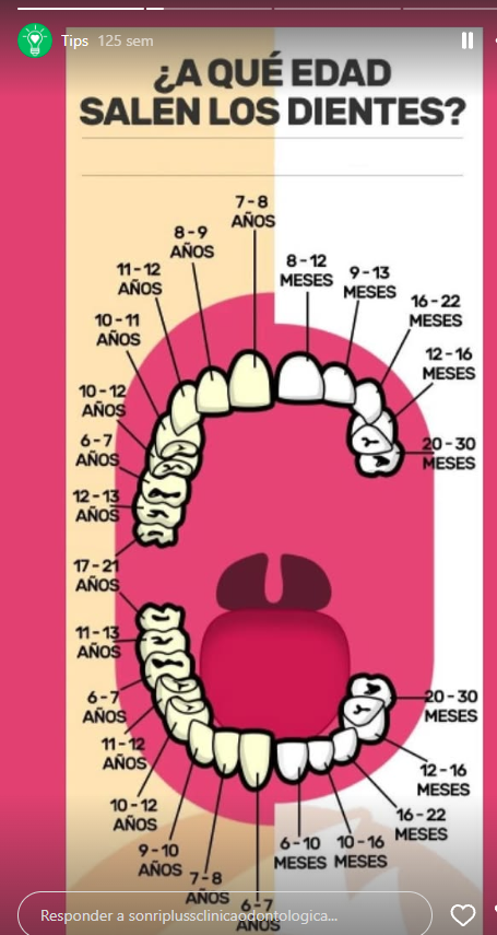 Esquema informativo con edades aproximadas de erupción de los dientes.